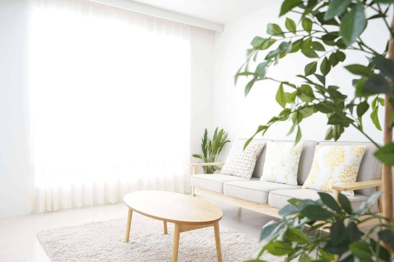 Bright, minimalistic living room with a light gray sofa, patterned cushions, and a round wooden table. A plush rug covers the floor, and large green plants add freshness.