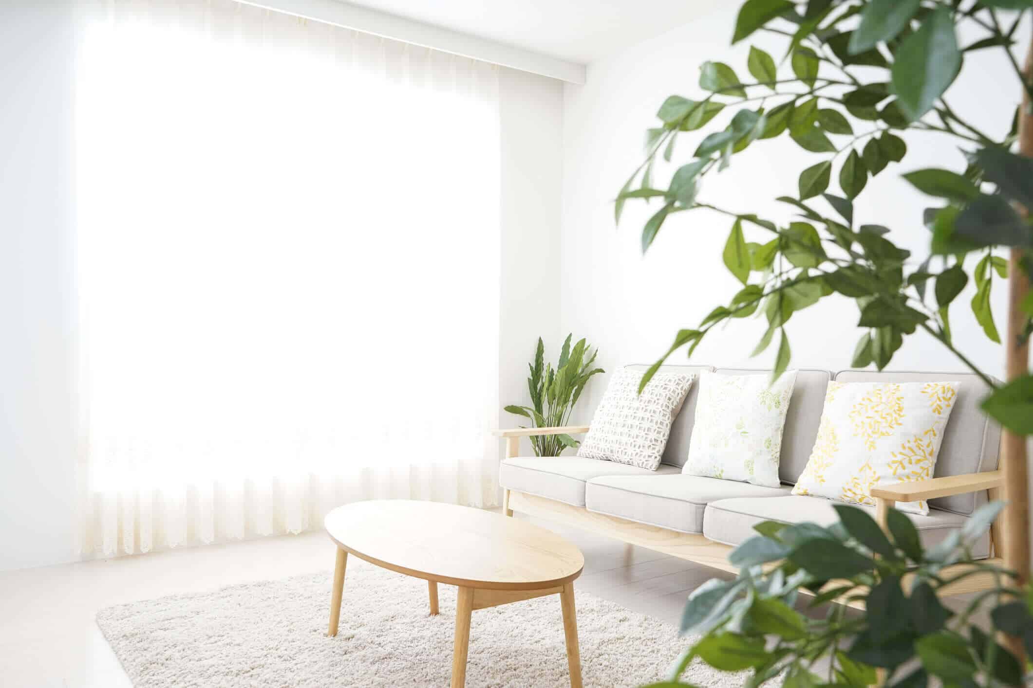 Bright, minimalistic living room with a light gray sofa, patterned cushions, and a round wooden table. A plush rug covers the floor, and large green plants add freshness.