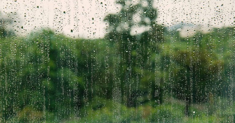 Why Dehumidifiers Are So Important for Georgia Heat
