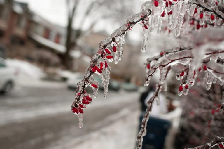 Ice, Ice, Baby: Why Georgia’s Ice Storms Are Your HVAC System’s Worst Nightmare (And What to Do About It)